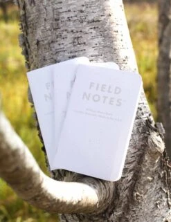 Birch Bark Notebooks - Graph Paper -Fatbuddha Store birch bark notebooks graph paper p36615 123198 medium