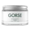Body Cream - Gorse