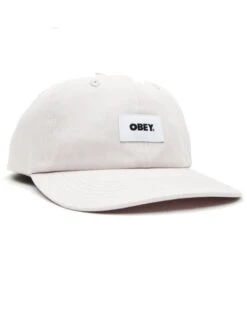 Obey Clothing Purple Paste Bold Label Organic 6 Panel Curved Bill Strapback Dad Hat