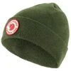 Fjallraven Kid's 1960 Logo Beanie - Caper Green -Fatbuddha Store kids 1960 logo beanie caper green p33628 112895 medium