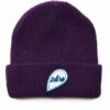 Patagonia Kids' Logo Beanie – Panther Purple Ribbed Knit Cuffed Hat