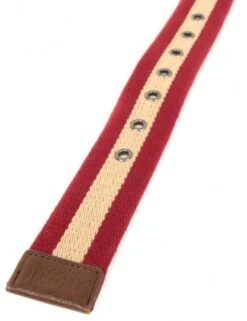 NIXON Morris Belt - Dark Red -Fatbuddha Store morris belt dark red p9602 35469 medium