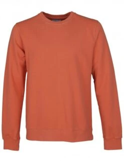 Colorful Standard Organic Cotton Crew Sweat - Dark Amber