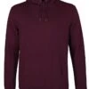 Colorful Standard Organic Cotton Hooded Sweat - Oxblood Red -Fatbuddha Store organic cotton hooded sweat oxblood red p29417 117904 medium