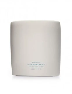 Scented Candle - Never Spring (220G)