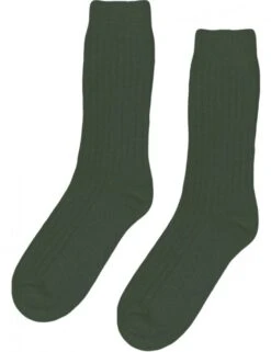 Colorful Standard Emerald Green Recycled Merino Wool Blend Socks - Chunky Ribbed Crew